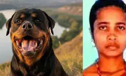 വീട്ടിലേക്ക് നടന്നുപോകുകയായിരുന്നു യുവതി ആക്രമിച്ചു റോട്ട്വീലര്‍ നായ്ക്കള്‍; ആഴത്തില്‍ മുറിവേറ്റ് രക്തം വാര്‍ന്ന് യുവതിക്ക് ദാരുണാന്ത്യം; ആസൂത്രിത ആക്രമണം ആരോപിച്ചു ബന്ധുക്കള്‍