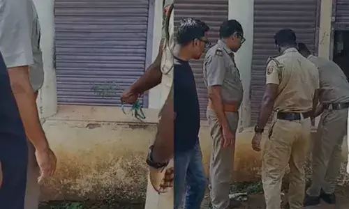 പട്ടാമ്പി ബ്ലോക്ക് പഞ്ചായത്ത് വളപ്പിൽ കണ്ടെത്തിയത് 29 സെന്റീമീറ്റർ നീളമുള്ള കഞ്ചാവ് ചെടി; പരിശോധന നടത്തി എക്സൈസ് പട്ടാമ്പി ബ്ലോക്ക് പഞ്ചായത്ത് വളപ്പിൽ കണ്ടെത്തിയത് 29 സെന്റീമീറ്റർ നീളമുള്ള കഞ്ചാവ് ചെടി; പരിശോധന നടത്തി എക്സൈസ്