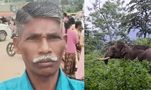 അട്ടപ്പാടി വനത്തില്‍ കാട്ടാന ആക്രമണം; കടുവ സെന്‍സസിനു പോയ വനംവകുപ്പ് ജീവനക്കാരന്‍ കൊല്ലപ്പെട്ടു