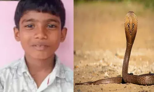 വീടിന്റെ പടിയിൽ കിടന്ന പാമ്പിനെ ശ്രദ്ധിച്ചില്ല; അറിയാതെ ചവിട്ടിയതും കടിയേറ്റു; തിരുവനന്തപുരത്ത് മൂന്നാം ക്ലാസുകാരന് ദാരുണാന്ത്യം; വേദന സഹിക്കാൻ കഴിയാതെ ഉറ്റവർ