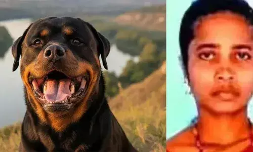 വീട്ടിലേക്ക് നടന്നുപോകുകയായിരുന്നു യുവതി ആക്രമിച്ചു റോട്ട്വീലര്‍ നായ്ക്കള്‍; ആഴത്തില്‍ മുറിവേറ്റ് രക്തം വാര്‍ന്ന് യുവതിക്ക് ദാരുണാന്ത്യം; ആസൂത്രിത ആക്രമണം ആരോപിച്ചു ബന്ധുക്കള്‍