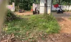 നിശബ്ദ പ്രചരണ ദിവസം സിപിഎം സ്ഥാനാര്ഥിയുടെ ബൈക്ക് റാലി; പരാതി നല്കാന് നീക്കം നിശബ്ദ പ്രചരണ ദിവസം സിപിഎം സ്ഥാനാര്ഥിയുടെ ബൈക്ക് റാലി; പരാതി നല്കാന് നീക്കം