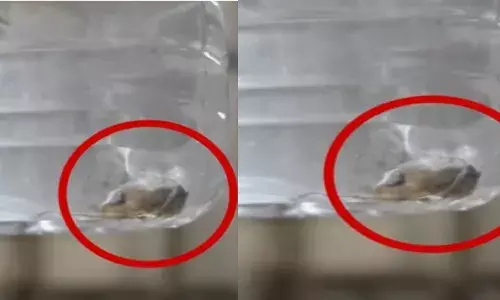 ദാഹം കൊണ്ട് ഒരു കുപ്പിവെള്ളം വാങ്ങി കുടിച്ചു; പിന്നാലെ യുവാവ് നേരെ വിട്ടത് ആശുപത്രിയിലോട്ട്; വെള്ളത്തിലെ മനം മടുത്തുന്ന കാഴ്ച കണ്ട് അമ്പരപ്പ്