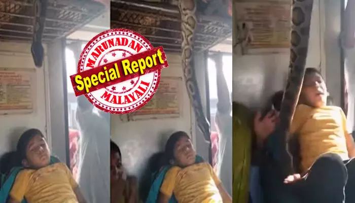 തിരക്കേറിയ ഒരു ട്രെയിൻ; തൊട്ട് അടുത്തെ സീറ്റിൽ ചാരികിടന്ന് ഉറങ്ങുന്ന കുട്ടി; പെട്ടെന്ന് ബെർത്തിലെ ബാഗുകൾക്കിടയിൽ നിന്ന് പേടിപ്പെടുത്തുന്ന കാഴ്ച; അലറിവിളിച്ച് യാത്രക്കാർ; ആ വീഡിയോ സത്യമോ?