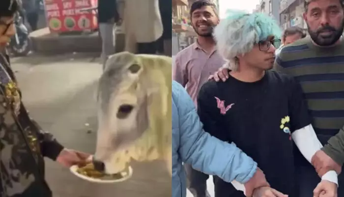 പശുവിന് ചിക്കൻ മോമോസ് നൽകി; വ്ലോഗറെ മർദ്ദിച്ച് റോഡിലൂടെ വലിച്ചിഴച്ച് ബജ്‌റംഗ്ദൾ പ്രവർത്തകർ; മതവികാരം വ്രണപ്പെടുത്തിയെന്ന പരാതിയിൽ 25കാരൻ അറസ്റ്റിൽ