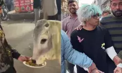 പശുവിന് ചിക്കൻ മോമോസ് നൽകി; വ്ലോഗറെ മർദ്ദിച്ച് റോഡിലൂടെ വലിച്ചിഴച്ച് ബജ്റംഗ്ദൾ പ്രവർത്തകർ; മതവികാരം വ്രണപ്പെടുത്തിയെന്ന പരാതിയിൽ 25കാരൻ അറസ്റ്റിൽ പശുവിന് ചിക്കൻ മോമോസ് നൽകി; വ്ലോഗറെ മർദ്ദിച്ച് റോഡിലൂടെ വലിച്ചിഴച്ച് ബജ്റംഗ്ദൾ പ്രവർത്തകർ; മതവികാരം വ്രണപ്പെടുത്തിയെന്ന പരാതിയിൽ 25കാരൻ അറസ്റ്റിൽ