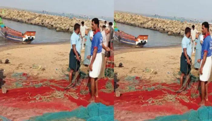 ആരും കാണാതെ പതിയിരിക്കുന്നവന്റെ ആക്രമണത്തിൽ വലകൾ പലതും നശിച്ചു; തുന്നിച്ചേർക്കാനും പെടാപ്പാട്; കടലിൽ മത്തി പിടിക്കാൻ പോകുന്ന മത്സ്യത്തൊഴിലാളികള്ക്ക് ഇത് ദുരിത കാലം ആരും കാണാതെ പതിയിരിക്കുന്നവന്റെ ആക്രമണത്തിൽ വലകൾ പലതും നശിച്ചു; തുന്നിച്ചേർക്കാനും പെടാപ്പാട്; കടലിൽ മത്തി പിടിക്കാൻ പോകുന്ന മത്സ്യത്തൊഴിലാളികള്ക്ക് ഇത് ദുരിത കാലം