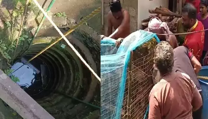 മുറ്റത്തു കളിക്കുന്നതിനിടെ അബദ്ധത്തില്‍ കിണറ്റില്‍വീണു; കയറില്‍ പിടിച്ചുകിടന്ന് അഞ്ചുവയസ്സുകാരന് അത്ഭുത രക്ഷപ്പെടല്‍