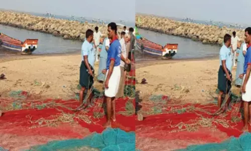 ആരും കാണാതെ പതിയിരിക്കുന്നവന്റെ ആക്രമണത്തിൽ വലകൾ പലതും നശിച്ചു; തുന്നിച്ചേർക്കാനും പെടാപ്പാട്; കടലിൽ മത്തി പിടിക്കാൻ പോകുന്ന മത്സ്യത്തൊഴിലാളികള്‍ക്ക് ഇത് ദുരിത കാലം