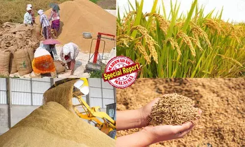 കോടികളുടെ ബാധ്യത കെട്ടിയേല്പ്പിച്ച് സപ്ലൈകോ; നെല്ലുസംഭരണ കരാറില് ഒപ്പിട്ടാല് കെണിയില് പെട്ട പോലെ; കൂലി വര്ദ്ധനയും ഔട്ട് ടേണ് റേഷ്യോയും അടക്കം സര്ക്കാര് ഉറപ്പുകള് ലംഘിക്കപ്പെടുന്നു; ബാങ്ക് ജപ്തിയും സെക്യൂരിറ്റി കണ്ടുകെട്ടലും; 112 മില്ലുകള് 53 ആയി ചുരുങ്ങി; കര്ഷകരെപ്പോലെ റൈസ് മില്ലുടമകളും ദുരിതത്തില് കോടികളുടെ ബാധ്യത കെട്ടിയേല്പ്പിച്ച് സപ്ലൈകോ; നെല്ലുസംഭരണ കരാറില് ഒപ്പിട്ടാല് കെണിയില് പെട്ട പോലെ; കൂലി വര്ദ്ധനയും ഔട്ട് ടേണ് റേഷ്യോയും അടക്കം സര്ക്കാര് ഉറപ്പുകള് ലംഘിക്കപ്പെടുന്നു; ബാങ്ക് ജപ്തിയും സെക്യൂരിറ്റി കണ്ടുകെട്ടലും; 112 മില്ലുകള് 53 ആയി ചുരുങ്ങി; കര്ഷകരെപ്പോലെ റൈസ് മില്ലുടമകളും ദുരിതത്തില്