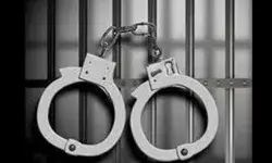 നവവധുവിനെ കാറില്‍ കടത്തിക്കൊണ്ടുപോയ സംഭവം; സഹോദരിയടക്കം അഞ്ചുപേര്‍ അറസ്റ്റില്‍