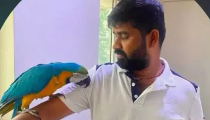 താൻ ജീവന് തുല്യം സ്നേഹിച്ച തത്ത പറന്ന് നേരെ പോയിരുന്നത് ഒരു തൂണിൽ; രക്ഷിക്കാൻ ശ്രമിക്കുന്നതിനിടെ യുവാവിന് സംഭവിച്ചത്; കരഞ്ഞ് തളർന്ന് കുടുംബം താൻ ജീവന് തുല്യം സ്നേഹിച്ച തത്ത പറന്ന് നേരെ പോയിരുന്നത് ഒരു തൂണിൽ; രക്ഷിക്കാൻ ശ്രമിക്കുന്നതിനിടെ യുവാവിന് സംഭവിച്ചത്; കരഞ്ഞ് തളർന്ന് കുടുംബം