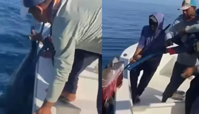 നടുക്കടലിൽ വച്ച് ചൂണ്ടയിൽ കുടുങ്ങിയ ആളെ കണ്ട് അമ്പരന്ന് മത്സ്യത്തൊഴിലാളികൾ; കുരുങ്ങിയത് ഭീമൻ ട്യൂണ മീൻ; വൈറലായി ചിത്രങ്ങൾ നടുക്കടലിൽ വച്ച് ചൂണ്ടയിൽ കുടുങ്ങിയ ആളെ കണ്ട് അമ്പരന്ന് മത്സ്യത്തൊഴിലാളികൾ; കുരുങ്ങിയത് ഭീമൻ ട്യൂണ മീൻ; വൈറലായി ചിത്രങ്ങൾ