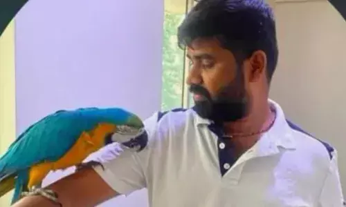 താൻ ജീവന് തുല്യം സ്നേഹിച്ച തത്ത പറന്ന് നേരെ പോയിരുന്നത് ഒരു തൂണിൽ; രക്ഷിക്കാൻ ശ്രമിക്കുന്നതിനിടെ യുവാവിന് സംഭവിച്ചത്; കരഞ്ഞ് തളർന്ന് കുടുംബം