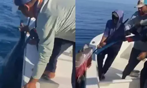 നടുക്കടലിൽ വച്ച് ചൂണ്ടയിൽ കുടുങ്ങിയ ആളെ കണ്ട് അമ്പരന്ന് മത്സ്യത്തൊഴിലാളികൾ; കുരുങ്ങിയത് ഭീമൻ ട്യൂണ മീൻ; വൈറലായി ചിത്രങ്ങൾ