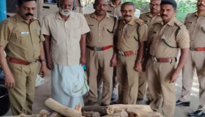 ഒരിക്കലും പിടിക്കപ്പെടില്ലെന്ന വിശ്വാസത്തിൽ വീട്ടിൽ തന്നെ സൂക്ഷിച്ചു; പരിശോധനയിൽ കണ്ടത് തൊലി നല്ല ചെത്തി ഒരുക്കിയ തടികൾ; കൈയ്യോടെ പൊക്കി ഒരിക്കലും പിടിക്കപ്പെടില്ലെന്ന വിശ്വാസത്തിൽ വീട്ടിൽ തന്നെ സൂക്ഷിച്ചു; പരിശോധനയിൽ കണ്ടത് തൊലി നല്ല ചെത്തി ഒരുക്കിയ തടികൾ; കൈയ്യോടെ പൊക്കി