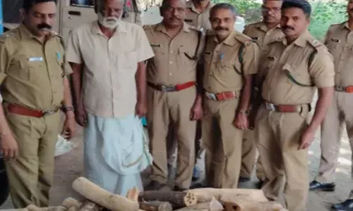 ഒരിക്കലും പിടിക്കപ്പെടില്ലെന്ന വിശ്വാസത്തിൽ വീട്ടിൽ തന്നെ സൂക്ഷിച്ചു; പരിശോധനയിൽ കണ്ടത് തൊലി നല്ല ചെത്തി ഒരുക്കിയ തടികൾ; കൈയ്യോടെ പൊക്കി