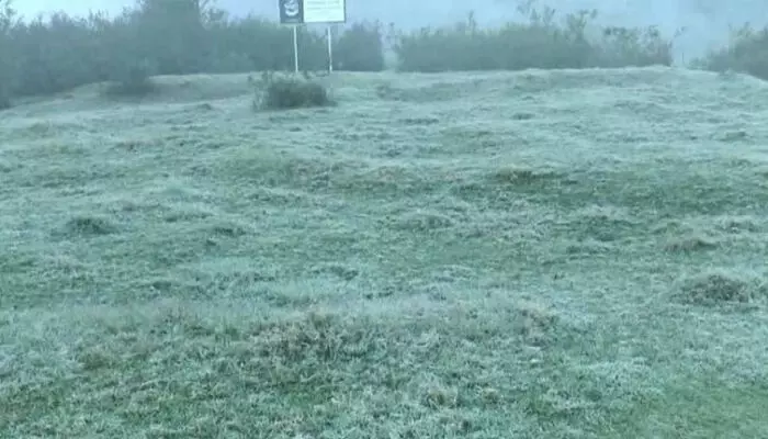മൂന്നാര് വീണ്ടും അതിശൈത്യത്തിലേക്ക്; പുല്മേടുകളില് വ്യാപകമായ മഞ്ഞു വീഴ്ച: നല്ലതണ്ണിയില് താപനില മൂന്ന് ഡിഗ്രി സെല്ഷ്യസ് മൂന്നാര് വീണ്ടും അതിശൈത്യത്തിലേക്ക്; പുല്മേടുകളില് വ്യാപകമായ മഞ്ഞു വീഴ്ച: നല്ലതണ്ണിയില് താപനില മൂന്ന് ഡിഗ്രി സെല്ഷ്യസ്