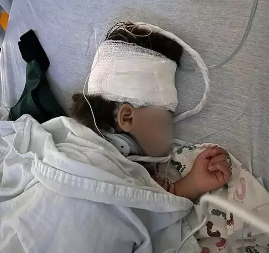 റോക്ക്വാളില് 3 വയസ്സുകാരന് പരിക്കേറ്റ സംഭവം: സ്കൂളിനെതിരെ മാതാപിതാക്കള് കേസ് ഫയല് ചെയ്തു റോക്ക്വാളില് 3 വയസ്സുകാരന് പരിക്കേറ്റ സംഭവം: സ്കൂളിനെതിരെ മാതാപിതാക്കള് കേസ് ഫയല് ചെയ്തു