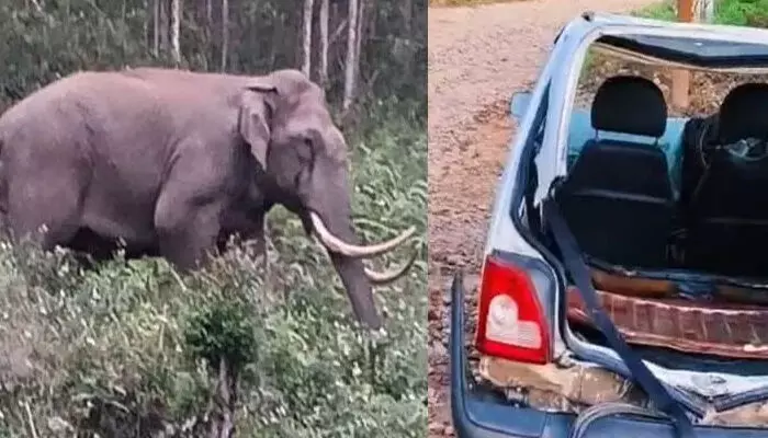 കാറിന് നേരെ പാഞ്ഞെടുത്ത കാട്ടാനയും; മൂന്നാറിൽ ജനവാസ മേഖലയിലിറങ്ങി ഭീതി വിതച്ച കാട്ടുപോത്ത്; കടുത്ത ഭീതിയിൽ നാട്ടുകാർ കാറിന് നേരെ പാഞ്ഞെടുത്ത കാട്ടാനയും; മൂന്നാറിൽ ജനവാസ മേഖലയിലിറങ്ങി ഭീതി വിതച്ച കാട്ടുപോത്ത്; കടുത്ത ഭീതിയിൽ നാട്ടുകാർ