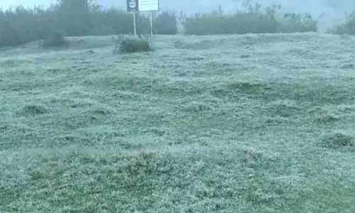 മൂന്നാര് വീണ്ടും അതിശൈത്യത്തിലേക്ക്; പുല്മേടുകളില് വ്യാപകമായ മഞ്ഞു വീഴ്ച: നല്ലതണ്ണിയില് താപനില മൂന്ന് ഡിഗ്രി സെല്ഷ്യസ് മൂന്നാര് വീണ്ടും അതിശൈത്യത്തിലേക്ക്; പുല്മേടുകളില് വ്യാപകമായ മഞ്ഞു വീഴ്ച: നല്ലതണ്ണിയില് താപനില മൂന്ന് ഡിഗ്രി സെല്ഷ്യസ്