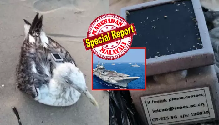 കർണാടക ആകാശത്ത് തലങ്ങും വിലങ്ങും പറന്ന കടൽ കാക്ക; ചിറകടിച്ചുള്ള അതിന്റെ സഞ്ചാരത്തിലും വേഗതയിലും തന്നെ സംശയം; ഇടയ്ക്ക് പരിക്കേറ്റ് നിലത്ത് വീണതും പ്രദേശം മുഴുവൻ അലർട്ടായി; സ്ഥലത്ത് പോലീസ് അടക്കം പാഞ്ഞെത്തി; ശരീരത്തിൽ ഒട്ടും പരിചയമില്ലാത്തൊരു അജ്ഞാത വസ്തു; അത് അയൽരാജ്യത്തിന്റെ കെണിയോ? കർണാടക ആകാശത്ത് തലങ്ങും വിലങ്ങും പറന്ന കടൽ കാക്ക; ചിറകടിച്ചുള്ള അതിന്റെ സഞ്ചാരത്തിലും വേഗതയിലും തന്നെ സംശയം; ഇടയ്ക്ക് പരിക്കേറ്റ് നിലത്ത് വീണതും പ്രദേശം മുഴുവൻ അലർട്ടായി; സ്ഥലത്ത് പോലീസ് അടക്കം പാഞ്ഞെത്തി; ശരീരത്തിൽ ഒട്ടും പരിചയമില്ലാത്തൊരു അജ്ഞാത വസ്തു; അത് അയൽരാജ്യത്തിന്റെ കെണിയോ?