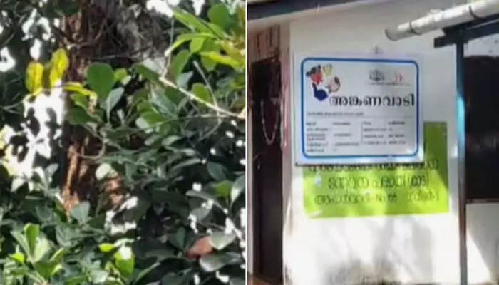 അങ്കണവാടിയിൽ ഭക്ഷണം കഴിക്കവെ കുട്ടികൾക്ക് നേരെ പാഞ്ഞടുത്ത് കടന്നൽ കൂട്ടം; ആക്രമണത്തിൽ 8 പേർക്ക് പരിക്ക്; സംഭവം തൃശൂരിൽ അങ്കണവാടിയിൽ ഭക്ഷണം കഴിക്കവെ കുട്ടികൾക്ക് നേരെ പാഞ്ഞടുത്ത് കടന്നൽ കൂട്ടം; ആക്രമണത്തിൽ 8 പേർക്ക് പരിക്ക്; സംഭവം തൃശൂരിൽ