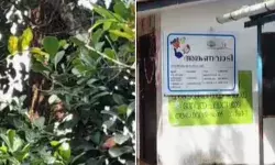 അങ്കണവാടിയിൽ ഭക്ഷണം കഴിക്കവെ കുട്ടികൾക്ക് നേരെ പാഞ്ഞടുത്ത് കടന്നൽ കൂട്ടം; ആക്രമണത്തിൽ 8 പേർക്ക് പരിക്ക്; സംഭവം തൃശൂരിൽ അങ്കണവാടിയിൽ ഭക്ഷണം കഴിക്കവെ കുട്ടികൾക്ക് നേരെ പാഞ്ഞടുത്ത് കടന്നൽ കൂട്ടം; ആക്രമണത്തിൽ 8 പേർക്ക് പരിക്ക്; സംഭവം തൃശൂരിൽ