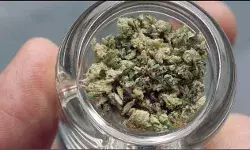 ഒരു കിലോ ചരസുമായി തിഹാര് ജയില് പരിസരത്ത് സഹോദരങ്ങള് അറസ്റ്റില്; പിടിയിലായത് കാറില് മയക്കുമരുന്നുമായി പോകവേ കാര് നിര്ത്താന് പോലീസ് ആവശ്യപ്പെട്ടതോടെ ഒരു കിലോ ചരസുമായി തിഹാര് ജയില് പരിസരത്ത് സഹോദരങ്ങള് അറസ്റ്റില്; പിടിയിലായത് കാറില് മയക്കുമരുന്നുമായി പോകവേ കാര് നിര്ത്താന് പോലീസ് ആവശ്യപ്പെട്ടതോടെ