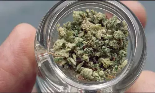 ഒരു കിലോ ചരസുമായി തിഹാര്‍ ജയില്‍ പരിസരത്ത് സഹോദരങ്ങള്‍ അറസ്റ്റില്‍; പിടിയിലായത് കാറില്‍ മയക്കുമരുന്നുമായി പോകവേ കാര്‍ നിര്‍ത്താന്‍ പോലീസ് ആവശ്യപ്പെട്ടതോടെ