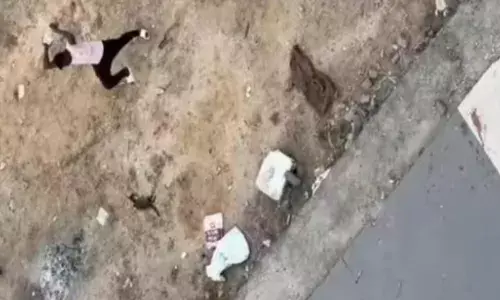 ഭാര്യയെ കടിച്ച പൂച്ചയെ അടിച്ചു കൊന്നു; ദൃശ്യങ്ങള്‍ പകര്‍ത്തി: യുവാവ് അറസ്റ്റില്‍