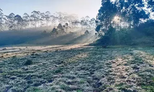 മൂന്നാറില്‍ താപനില പൂജ്യം ഡിഗ്രി;  തണുപ്പാസ്വദിക്കാന്‍ സഞ്ചാരികളുടെ ഒഴുക്ക്