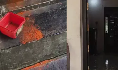 രാത്രി വീട്ടിലേക്ക് ഇരച്ചെത്തിയ മുഖമൂടി ധാരികൾ; വയോധികയുടെ മുഖത്ത് മുളകുപൊടി വാരി എറിഞ്ഞ് കവർച്ച; മലപ്പുറത്ത് സ്വർണ്ണാഭരണങ്ങൾ അടിച്ചെടുത്ത കള്ളനെ തപ്പി പോലീസ്