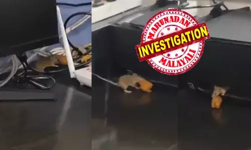 ചിലന്തിവല പോലെ കുരുങ്ങിക്കിടക്കുന്ന വയറുകൾക്കിടയിലൂടെ കൂളായി ഓടുന്ന എലികൾ; ഒരെണ്ണം മോണിറ്ററിന് താഴെ ഇരുന്ന് എന്തോ..കഴിക്കുന്ന കാഴ്ച; ഇവയെല്ലാം കൂട്ടത്തോടെ താമസിക്കുന്ന സ്ഥലം കണ്ട് അമ്പരപ്പ്; കുഞ്ഞുങ്ങളെ കാണിക്കാൻ എങ്ങനെ..വിശ്വസിച്ച് കൊണ്ടുവരുമെന്ന് അമ്മമാർ