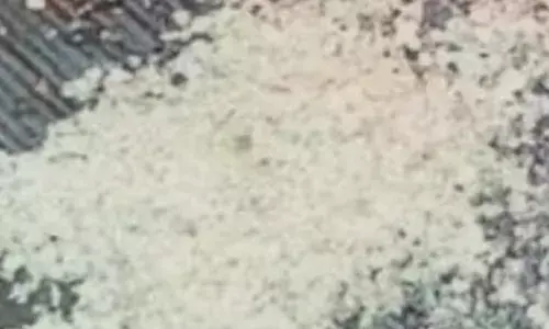 പെട്രോള്‍ അടിക്കാൻ പമ്പിലെത്തിയ ഗുഡ്‌സ് ഓട്ടോ; പരിശോധനയിൽ ടാങ്കിൽ എന്തോ..നിറഞ്ഞിരിക്കുന്നത് ശ്രദ്ധിച്ചു; വണ്ടി നേരെ വര്‍ക്ഷോപ്പില്‍ എത്തിച്ചതും ഞെട്ടൽ; പോലീസിൽ പരാതി നൽകി