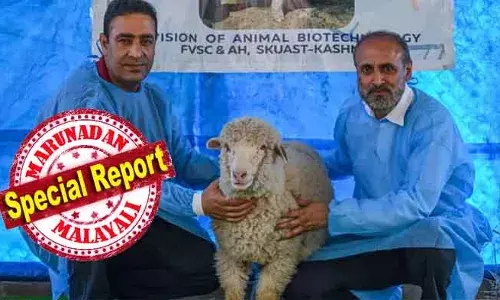 കാശ്മീരിലെ ആട്ടിറച്ചി ക്ഷാമം പരിഹരിക്കാന്‍ കണ്ടെത്തല്‍ ഗുണകരമാകും; മൃഗങ്ങളെയും പക്ഷികളെയും ബാധിക്കുന്ന സാംക്രമിക രോഗങ്ങളെ പ്രതിരോധിക്കാനും കഴിയും; ഇന്ത്യയുടെ ആദ്യ ജീന്‍ എഡിറ്റഡ് ആടിന് ഒരു വയസ്സ്; ഇനി മാംസ ഉല്‍പ്പാദനത്തില്‍ തര്‍മീം വിപ്ലവം