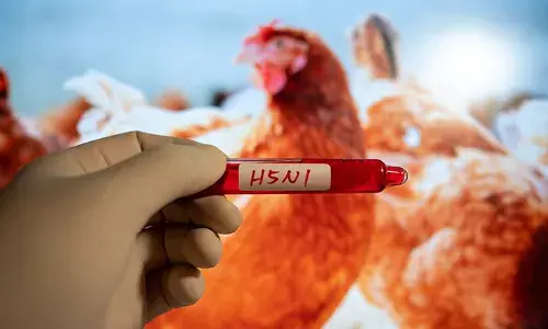 ആലപ്പുഴയിൽ പക്ഷിപ്പനി; ചിക്കൻ വിഭവങ്ങളുടെ വിപണനം തടഞ്ഞു; ഭക്ഷണം കഴിക്കാൻ എത്തിയവരെ ഉദ്യോഗസ്ഥർ ഇറക്കി വിട്ടു; നടപടി മുന്നറിയിപ്പ് നല്കാതെ; 30 മുതൽ ഹോട്ടലുകൾ അടച്ചിടും