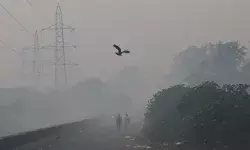 ശക്തമായ മൂടൽമഞ്ഞിനോടൊപ്പം വിഷപ്പുകയും; വീണ്ടും ശ്വാസംമുട്ടി ഡൽഹി; പലയിടത്തും ഓറഞ്ച് അലർട്ട്; വിമാനം എങ്ങനെ പറത്തുമെന്ന ആശങ്കയിൽ പൈലറ്റുമാർ; അതീവ ജാഗ്രത ശക്തമായ മൂടൽമഞ്ഞിനോടൊപ്പം വിഷപ്പുകയും; വീണ്ടും ശ്വാസംമുട്ടി ഡൽഹി; പലയിടത്തും ഓറഞ്ച് അലർട്ട്; വിമാനം എങ്ങനെ പറത്തുമെന്ന ആശങ്കയിൽ പൈലറ്റുമാർ; അതീവ ജാഗ്രത