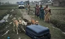 നീല സ്യൂട്ട്കേസ് തെരുവിലൂടെ വലിച്ചിഴച്ച് നായ്ക്കൾ; തുറന്നപ്പോൾ കണ്ടത് ജീർണിച്ച് വീർത്ത യുവതിയുടെ മൃതദേഹം; കഴുത്തിൽ കയർ മുറുക്കിയത് പോലുള്ള പാടുകൾ; നിർണായകമായത് കൈയിലെ ടാറ്റൂ