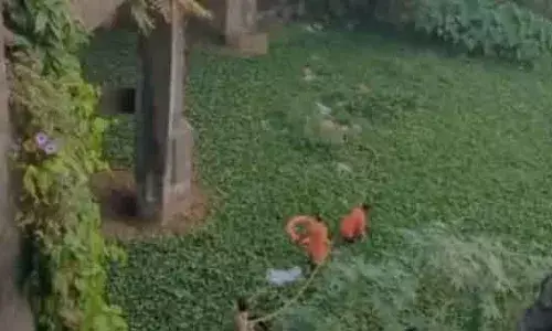 ലഹരിക്കടത്ത് സംഘത്തിന്റെ കാര്‍ തടഞ്ഞ് പോലീസ്; സിനിമയെ വെല്ലുന്ന സാഹസികതയ്ക്കൊടുവില്‍ മൂന്നുപേര്‍ പിടിയില്‍; ഒരാള്‍ രക്ഷപ്പെട്ടു