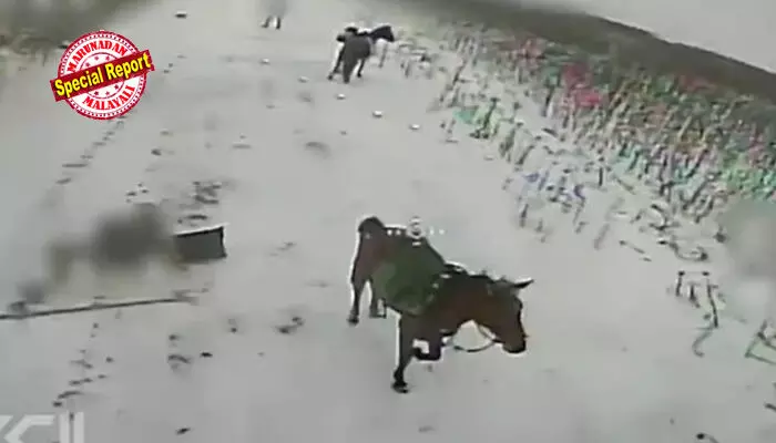 ടാങ്കും കവചിത വാഹനങ്ങളും തീര്ന്നു; ഒടുവില് കുതിരപ്പുറത്ത് യുദ്ധത്തിനിറങ്ങി റഷ്യന് സൈന്യം; കുതിരപ്പടയെ ഡ്രോണ് അയച്ച് വേട്ടയാടി യുക്രെയ്ന്; നൂറ്റാണ്ടുകള് പഴക്കമുള്ള യുദ്ധമുറയുമായി വന്ന റഷ്യക്ക് ഡ്രോണ് യുഗത്തില് കിട്ടിയത് മുട്ടന് പണി ടാങ്കും കവചിത വാഹനങ്ങളും തീര്ന്നു; ഒടുവില് കുതിരപ്പുറത്ത് യുദ്ധത്തിനിറങ്ങി റഷ്യന് സൈന്യം; കുതിരപ്പടയെ ഡ്രോണ് അയച്ച് വേട്ടയാടി യുക്രെയ്ന്; നൂറ്റാണ്ടുകള് പഴക്കമുള്ള യുദ്ധമുറയുമായി വന്ന റഷ്യക്ക് ഡ്രോണ് യുഗത്തില് കിട്ടിയത് മുട്ടന് പണി