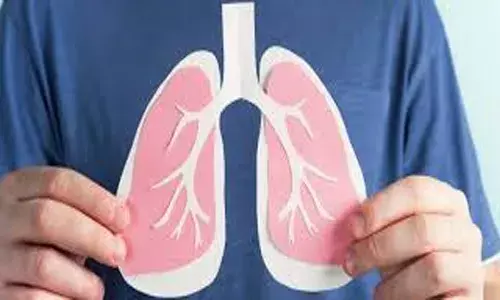 ഏറ്റവും നല്ലത് ഇലക്കറികൾ..; ശ്വാസകോശത്തിന്റെ ആരോഗ്യം മെച്ചപ്പെടുത്തുന്നതിന് സഹായിക്കുന്ന അഞ്ച് ഭക്ഷണങ്ങൾ; അറിയാം..