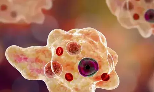 സംസ്ഥാനത്ത് വീണ്ടും അമീബിക് മസ്തിഷ്‌കജ്വരം ബാധിച്ച് മരണം; ജീവന്‍ നഷ്ടമായത് കോഴിക്കോട് സ്വദേശിക്ക്