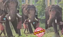 രണ്ട് മാസം മുമ്പ് പാപ്പാനെ കൊന്ന ആനയുടെ തുമ്പിക്കൈയില്‍ പിഞ്ചുകുഞ്ഞിനെ ഇരുത്തി പാപ്പാന്റെ സാഹസം;  ആനയുടെ അടിയിലൂടെ വലംവെച്ചു; ഹരിപ്പാട് ദേവസ്വം പാപ്പാന്റെ കയ്യില്‍ നിന്നും പിടിവിട്ട് കുഞ്ഞ് വീണത് ആനയുടെ കാലിന് മുന്നില്‍;  ക്രൂരത മദ്യലഹരിയില്‍;  ഞെട്ടിക്കുന്ന വീഡിയോ പ്രചരിച്ചതോടെ ദേവസ്വം അധികൃതരും പൊലീസും