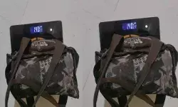 ഒന്നാം ക്ലാസിൽ പഠിക്കുന്ന തന്റെ മകന്റെ ബാഗ് തൂക്കമളന്ന് നോക്കിയ അച്ഛന് ഞെട്ടൽ; അവൻ ദിവസവും ചുമക്കുന്നത് ദേ..ഇത്ര കിലോ; പ്രതികരിച്ച് സോഷ്യൽ മീഡിയ ഒന്നാം ക്ലാസിൽ പഠിക്കുന്ന തന്റെ മകന്റെ ബാഗ് തൂക്കമളന്ന് നോക്കിയ അച്ഛന് ഞെട്ടൽ; അവൻ ദിവസവും ചുമക്കുന്നത് ദേ..ഇത്ര കിലോ; പ്രതികരിച്ച് സോഷ്യൽ മീഡിയ