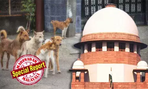 കടിക്കാതിരിക്കാന് നായകള്ക്ക് കൗണ്സിലിങ് നല്കുക മാത്രമാണ് ഇനി ബാക്കിയുള്ളത്; തെരുവുനായ കേസില് പരിഹാസവുമായി സുപ്രീംകോടതി; വന്ധ്യംകരണത്തിനും വാക്സിനേഷനും ശേഷം തെരുവ് നായ്ക്കളെ ഷെല്ട്ടറുകളിലേക്ക് ഉടന് മാറ്റാനും കോടതിയുടെ ഉത്തരവ് കടിക്കാതിരിക്കാന് നായകള്ക്ക് കൗണ്സിലിങ് നല്കുക മാത്രമാണ് ഇനി ബാക്കിയുള്ളത്; തെരുവുനായ കേസില് പരിഹാസവുമായി സുപ്രീംകോടതി; വന്ധ്യംകരണത്തിനും വാക്സിനേഷനും ശേഷം തെരുവ് നായ്ക്കളെ ഷെല്ട്ടറുകളിലേക്ക് ഉടന് മാറ്റാനും കോടതിയുടെ ഉത്തരവ്