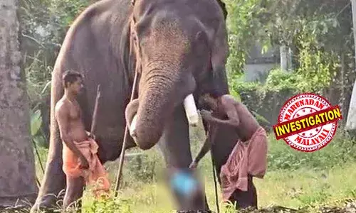 കൊമ്പില് ചേര്ത്തിരുത്തവേ തലകീഴായി മറിഞ്ഞ് ആനയുടെ കാല്ക്കീഴില് വീണ പിഞ്ചുകുഞ്ഞ് രക്ഷപ്പെട്ടത് തലനാരിഴയ്ക്ക്; പുറത്തുവന്നത് ആനയുടെ കാലിലെ ചങ്ങലയില് കുഞ്ഞിന്റെ തലയിടിക്കുന്നതടക്കമുള്ള ദൃശ്യങ്ങള്; കൊടുംക്രൂരതയ്ക്ക് പിന്നാലെ പാപ്പാന് കസ്റ്റഡിയില്; കുട്ടിയുടെ അച്ഛനായി തെരച്ചില് ഊര്ജ്ജിതം കൊമ്പില് ചേര്ത്തിരുത്തവേ തലകീഴായി മറിഞ്ഞ് ആനയുടെ കാല്ക്കീഴില് വീണ പിഞ്ചുകുഞ്ഞ് രക്ഷപ്പെട്ടത് തലനാരിഴയ്ക്ക്; പുറത്തുവന്നത് ആനയുടെ കാലിലെ ചങ്ങലയില് കുഞ്ഞിന്റെ തലയിടിക്കുന്നതടക്കമുള്ള ദൃശ്യങ്ങള്; കൊടുംക്രൂരതയ്ക്ക് പിന്നാലെ പാപ്പാന് കസ്റ്റഡിയില്; കുട്ടിയുടെ അച്ഛനായി തെരച്ചില് ഊര്ജ്ജിതം