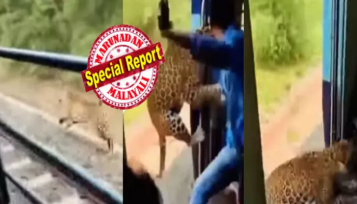 ഒന്ന് പവർ കൊടുത്ത് ഓടി തുടങ്ങിയ ട്രെയിൻ; അതിന് സമാന്തരമായി പേടിപ്പെടുത്തുന്ന കാഴ്ച; യാത്രക്കാരെ നോക്കി പാഞ്ഞെടുക്കുന്ന വേഗതയുടെ രാജാവ്; പെട്ടെന്ന് ഡോറിന് മുന്നിൽ നിന്ന ആളെ കടിച്ച് താഴെ ഇടുന്ന പുള്ളിപ്പുലി; ആ ഭീകര ദൃശ്യങ്ങൾക്ക് പിന്നിലെ സത്യാവസ്ഥയെന്ത്? ഒന്ന് പവർ കൊടുത്ത് ഓടി തുടങ്ങിയ ട്രെയിൻ; അതിന് സമാന്തരമായി പേടിപ്പെടുത്തുന്ന കാഴ്ച; യാത്രക്കാരെ നോക്കി പാഞ്ഞെടുക്കുന്ന വേഗതയുടെ രാജാവ്; പെട്ടെന്ന് ഡോറിന് മുന്നിൽ നിന്ന ആളെ കടിച്ച് താഴെ ഇടുന്ന പുള്ളിപ്പുലി; ആ ഭീകര ദൃശ്യങ്ങൾക്ക് പിന്നിലെ സത്യാവസ്ഥയെന്ത്?