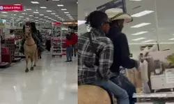 കുതിരപ്പുറത്ത് കയറി സ്റ്റോറിലെത്തിയ രണ്ടുപേർ; ജീവനക്കാർ അടക്കം അമ്പരന്നു; ഇറങ്ങി പോടാ..എന്ന് ആക്രോശിക്കുന്നവരും കൂട്ടത്തിൽ; ഒടുവിൽ സംഭവിച്ചത് കുതിരപ്പുറത്ത് കയറി സ്റ്റോറിലെത്തിയ രണ്ടുപേർ; ജീവനക്കാർ അടക്കം അമ്പരന്നു; ഇറങ്ങി പോടാ..എന്ന് ആക്രോശിക്കുന്നവരും കൂട്ടത്തിൽ; ഒടുവിൽ സംഭവിച്ചത്