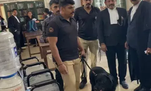 ഉടനെ തന്നെ ജഡ്ജിമാരെ എല്ലാം ഒഴിപ്പിക്കുക; അല്ലെങ്കിൽ കാര്യങ്ങൾ അപകടത്തിലാകും; സംസ്ഥാനത്തെ കോടതികളെ മുൾമുനയിൽ നിർത്തി ബോംബ് ഭീഷണി; പോലീസ് പരിശോധന നടത്തി; അതീവ ജാഗ്രത ഉടനെ തന്നെ ജഡ്ജിമാരെ എല്ലാം ഒഴിപ്പിക്കുക; അല്ലെങ്കിൽ കാര്യങ്ങൾ അപകടത്തിലാകും; സംസ്ഥാനത്തെ കോടതികളെ മുൾമുനയിൽ നിർത്തി ബോംബ് ഭീഷണി; പോലീസ് പരിശോധന നടത്തി; അതീവ ജാഗ്രത